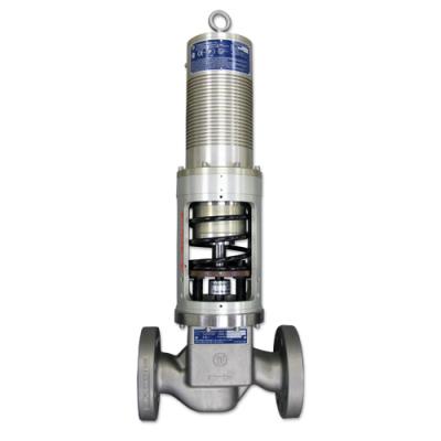YF 3010E620 Series Electric Fuel Metering Unit Spring Detail